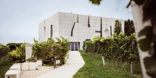 Steininger Loisium Weinwelt